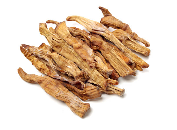 istock Dried bamboo shoots Isolated On White Background 1093883516