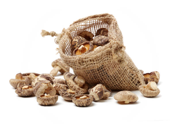 сушеные грибы шиитаке на белом фоне - shiitake mushroom edible mushroom mushroom dry стоковые фото и изображения
