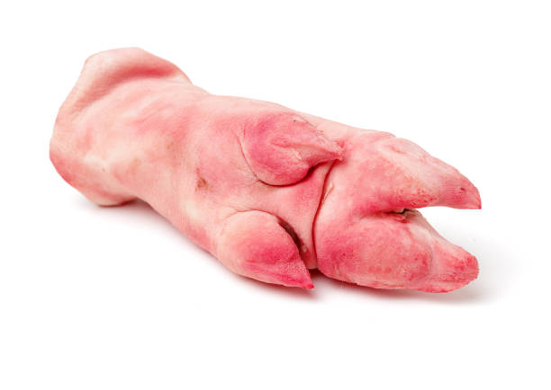 Raw pork legs  isolated on white background