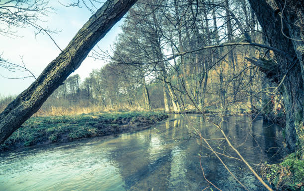 istock Early spring landscape with river in nature scenery, cross processed photo 1093888746
