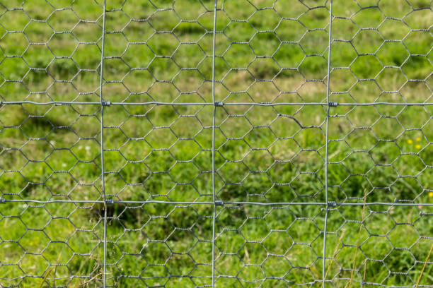 istock Mesh fence with green meadow background 1093896608