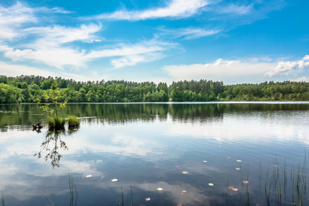 istock Blue lake water with calm surface and forest, tranquil scenery 1093898424
