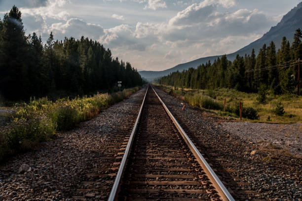 Railroad tracks towards the horizon