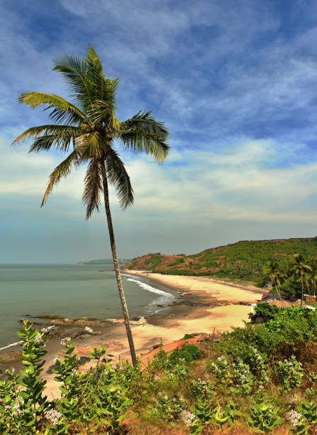 istock Romantic beach Vagator in the Indian state of Goa 1093901158