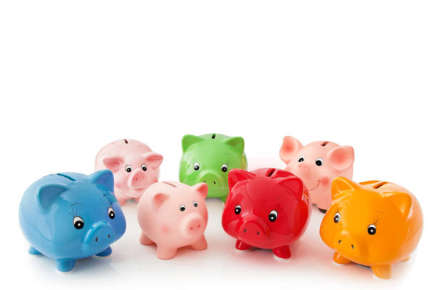 istock Piggy Banks against white background 1093901540