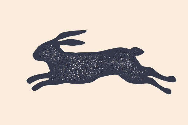 Rabbit, hare, silhouette. Rabbit, hare, silhouette. Vintage retro print, poster for Butchery meat shop, rabbit silhouette. Ttemplate for meat business, meat shop. Black white silhouette rabbit. Vector Illustration silhouette of hare stock illustrations