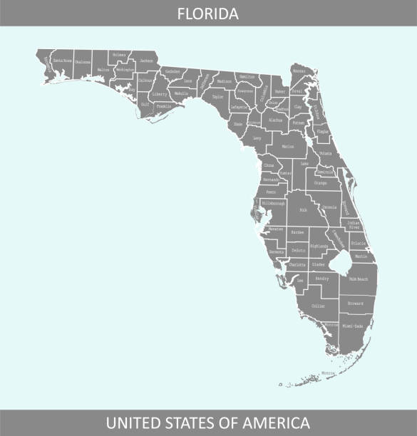 illustrations, cliparts, dessins animés et icônes de fond de contour gris de vecteur de carte du comté de floride. carte des comtés de l’état de floride aux états-unis en un design créatif - brevard county