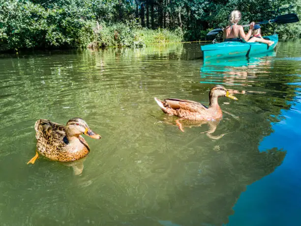 Photo of Young woman with child canoes in the Spreewald