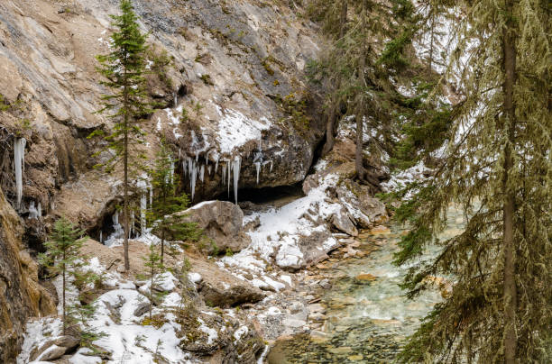 johnston canyon in banff national park , alberta, canada - lower falls imagens e fotografias de stock