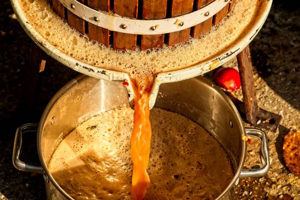 istock Pressing of fresh apple juice 1093917018