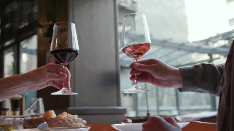 Toasting with red and rose wine in a restaurant