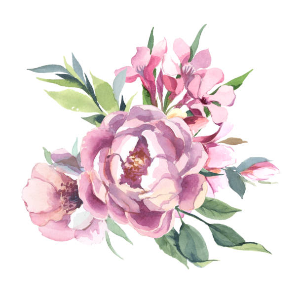 istock Bouquet of peony and blosom flowers isolate in white background. Floral element for wedding and invitation cards, for valentine cards and prints 1093918646