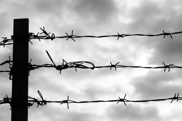 barbered wire fence under dark sky - death camp imagens e fotografias de stock