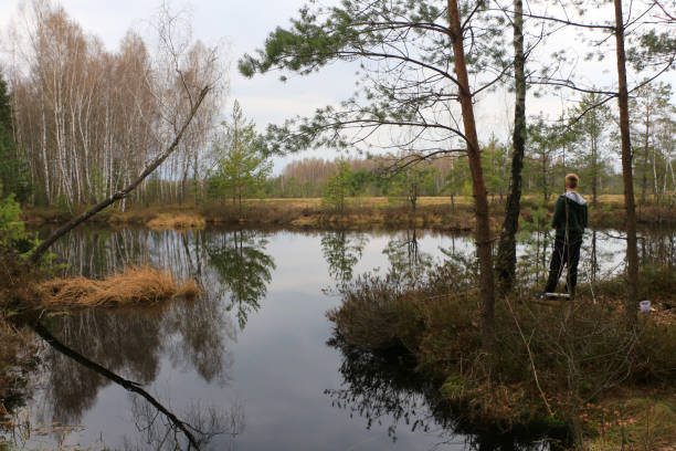 beau paysage d’un lac de la forêt au début du printemps. - reflection tranquil scene photography blue photos et images de collection