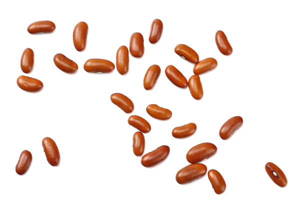 istock brown kidney beans isolated on white background. top view 1093928644