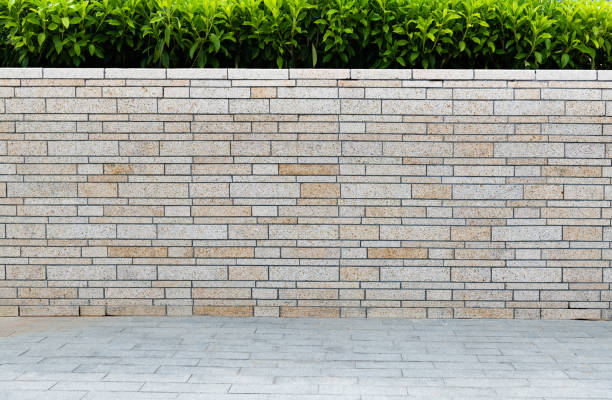 Stone brick wall and green bush background.