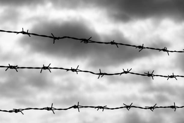 Barbered wire fence under dark sky.