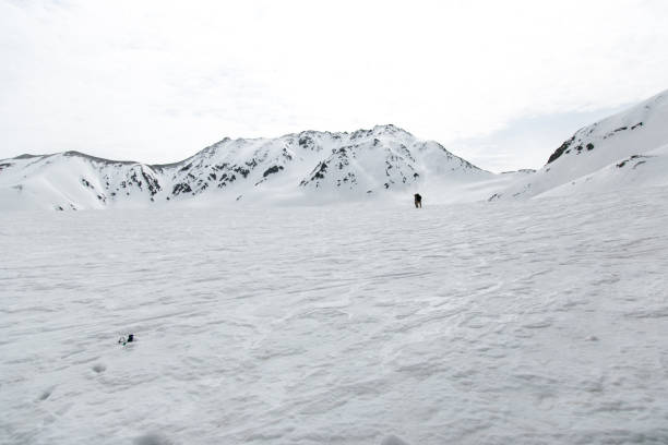 istock The snow mountains view on Tateyama Kurobe Alpine Route 1093929358