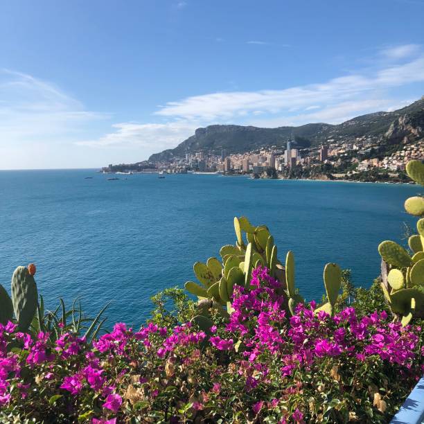 istock Beautiful View of montecarlo 1093930088