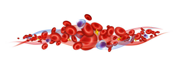 혈액 미 립 자입니다. 백혈구, 적혈구 및 혈소판입니다. 벡터 구성입니다. - wbc stock illustrations