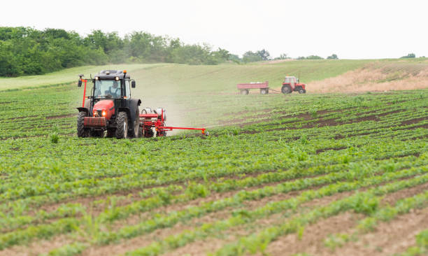 istock Farmer with tractor seeding  crops at agricultural field 1093935462
