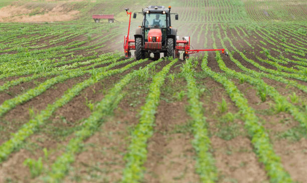istock Farmer with tractor seeding  crops at agricultural field 1093935468