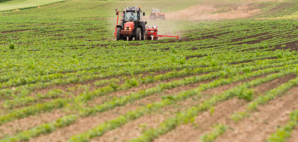 istock Farmer with tractor seeding  crops at agricultural field 1093935498