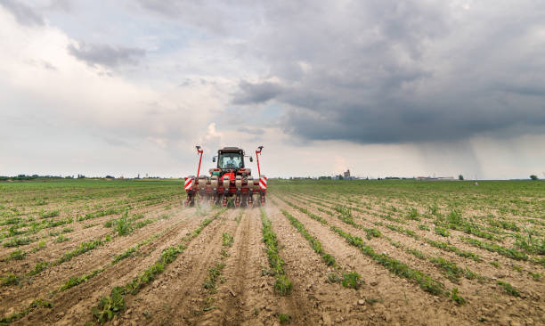 istock Farmer with tractor seeding  crops at agricultural field 1093935544