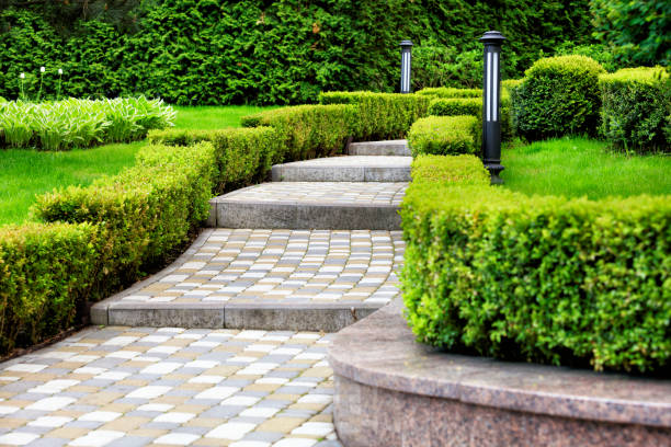 Paved cobblestone trail in a beautiful park, framed by cropped bushes in the rays of soft light A paved stepped path in a beautiful park passes through a green lawn with decorative flowers, framed on both sides with cut bushes and lanterns under soft sunlight pedestrian walkway stock pictures, royalty-free photos & images