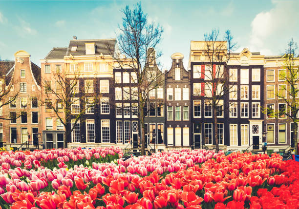 istock Houses of Amsterdam, Netherlands 1093940628