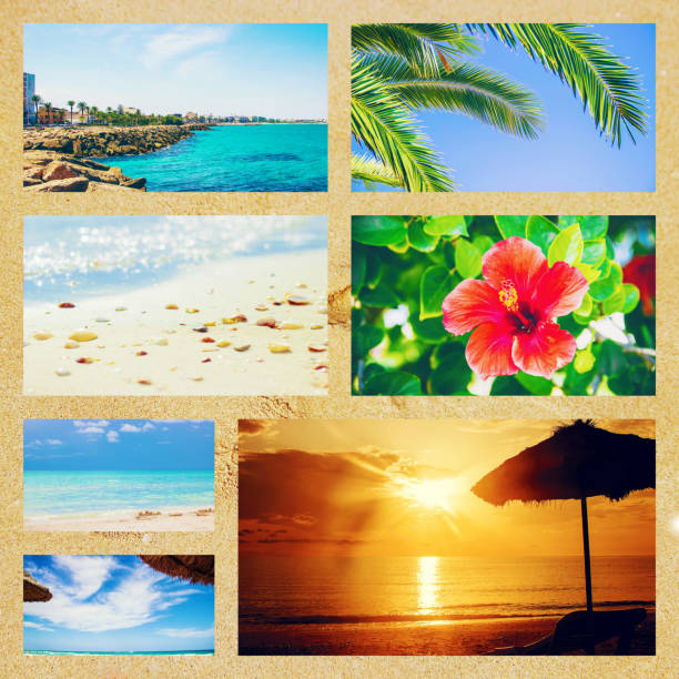 istock Collage photo sea Tunisia Mahdia. Selective focus. 1093962694