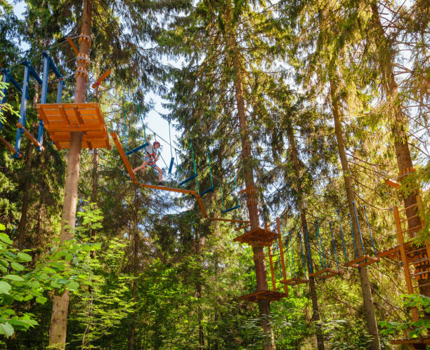 teen boy sur un parcours d’accrobranche en hauteur dans un passage de parc aventure treetop suspendus obstacle de corde - high up obstacle course ropes course teenage boys photos et images de collection