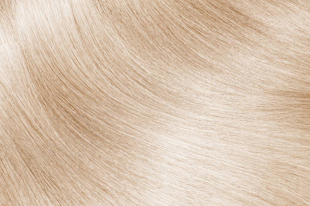 istock Blond or light brown hair texture background 1093966816