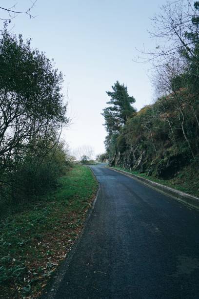 istock road and trees in the forest in the mountain 1093967982