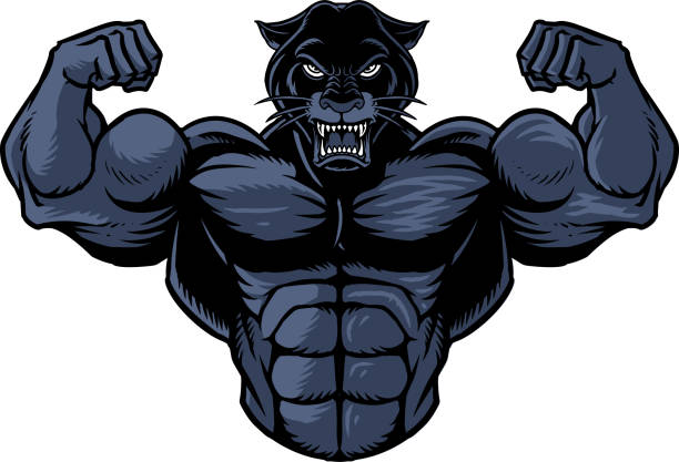978 Cartoon Of Animal Bodybuilding Stock Photos, Pictures & Royalty-Free  Images - iStock