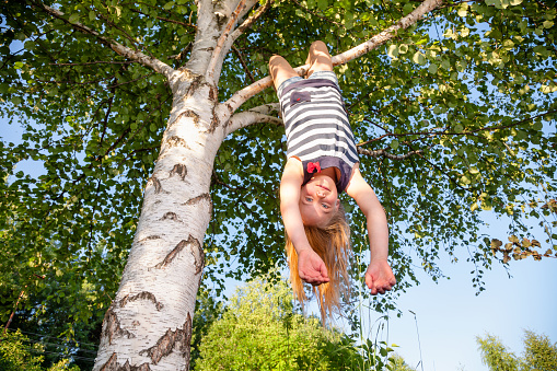 Low angle view of happy girl hanging  upside down from a birch tree looking at camera enjoying summertime