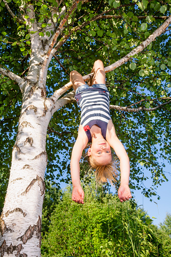 Low angle view of happy girl hanging  upside down from a birch tree looking at camera enjoying summertime