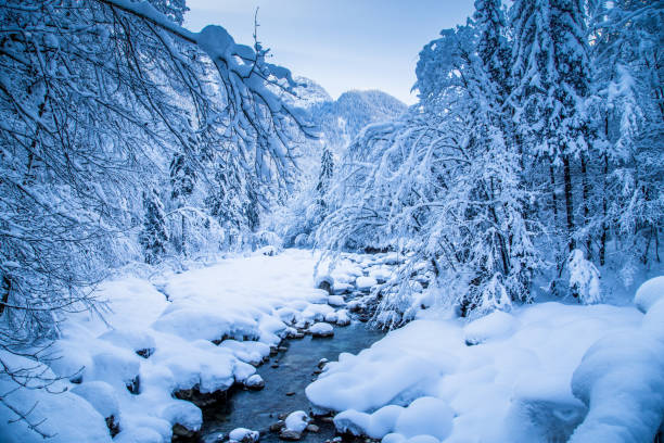 istock Winter wonderland with river bed and trees covered in deep snow 1093981304