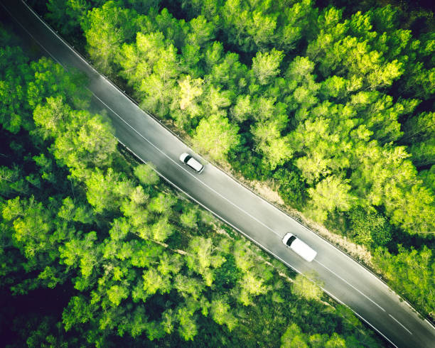 widok z lotu ptaka na dwupasmową prostą drogę w lesie z białym samochodem i vanem - overtake zdjęcia i obrazy z banku zdjęć