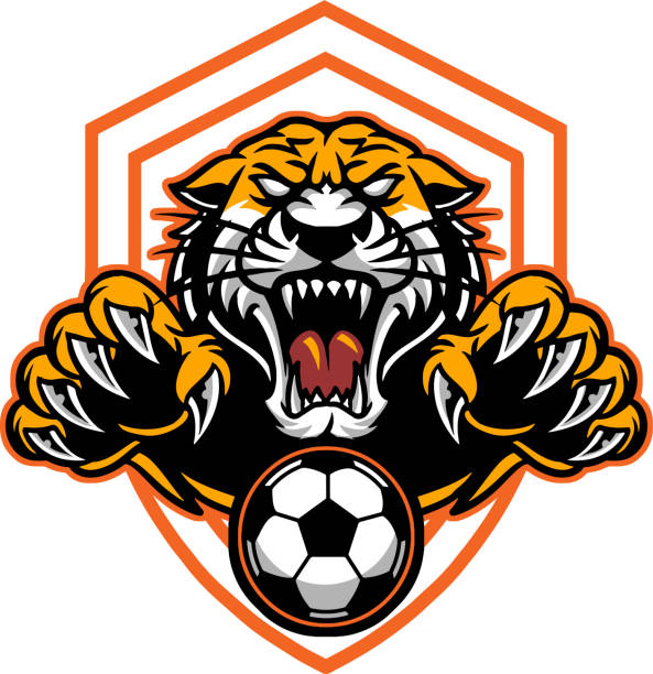 Tiger football The illustration shows a sport emblem represented by a wild tiger that's trying to catch a soccer ball. tiger mascot stock illustrations
