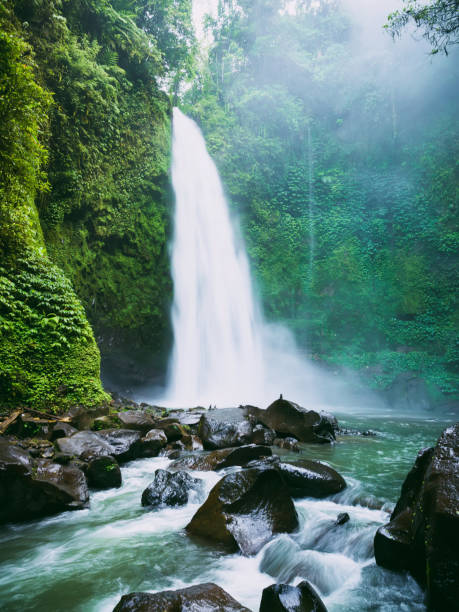 istock Powerful waterfall with fog. Tropical forest and Nung Nung waterfall 1093989564