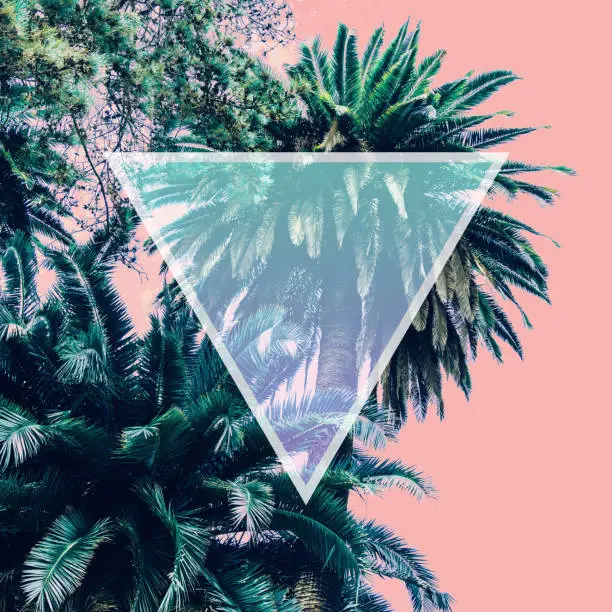 Photo of nature with palm trees in the inversion colours and triangle frame.
