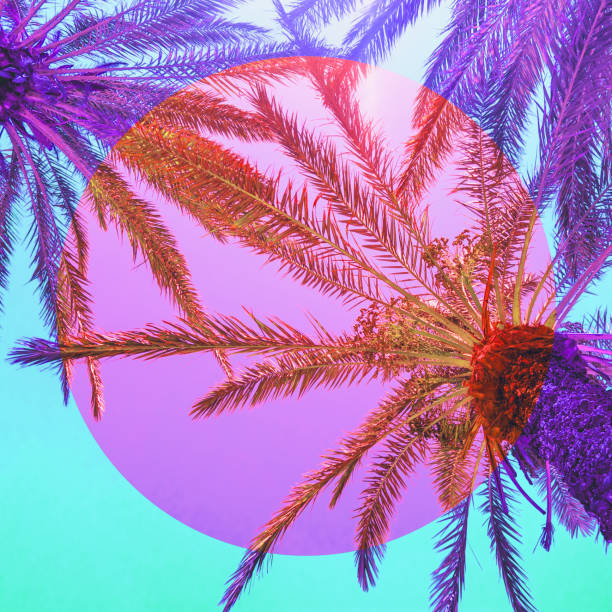 nature with palm trees in the inversion pink and purple colours and circle frame. Aesthetic art collage with awesome view of nature with palm trees in the inversion pink and purple colours and circle frame. acid photos stock pictures, royalty-free photos & images