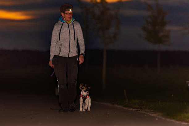 la donna va con un cane che cammina in autunno di notte con la torcia ascoltata - jack -russell terrier - walking at night foto e immagini stock