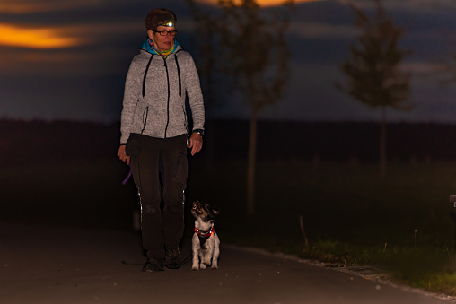 Woman goes with a dog walking in the autumn at night with flashlight - jack Russell terrier doggy
