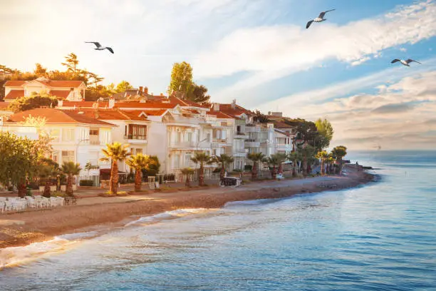 View from the sea to the island Kinaliada of the princes islands in summer. Residences on the coast of Kinaliada Island and the beach in front of it. summer landscape. Istanbul, Turkey.