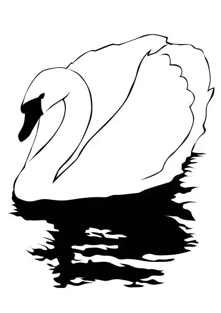 Vector illustration of Swan on water