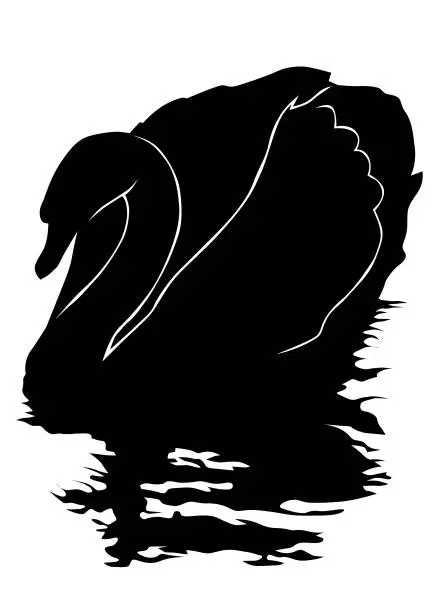 Vector illustration of Swan on water