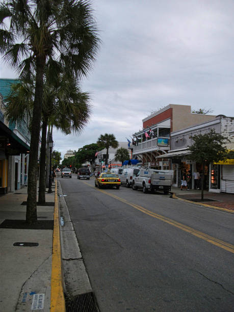 istock a street with palms and yellow car 1094031506