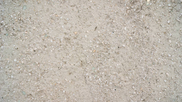 istock wall plastered with mortar with inclusions of small stones, shells and glass (in the style of Soviet times) 1094032064